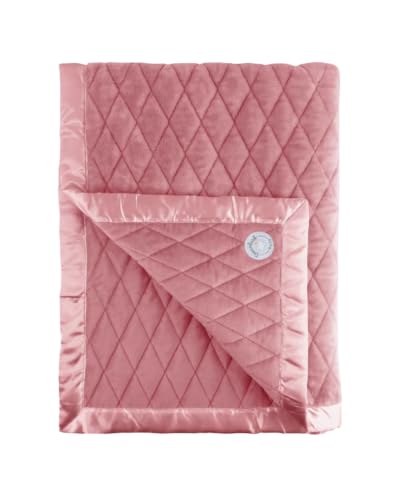 Dreamland Baby 4lb Weighted Blanket for Kids (Dusty Rose)