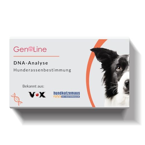 GenoLine DNA Hunderassenbestimmung (Standard)