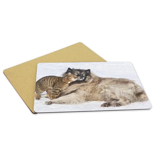 Set de table liège anti-rayure et tache - 4 napperons souples chien chat neige