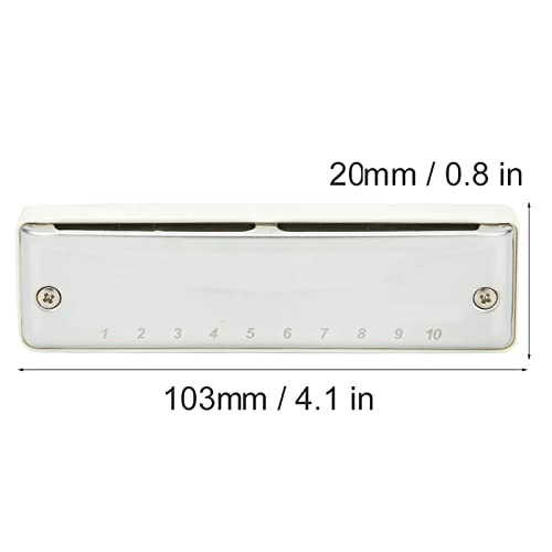Dilwe Harmonica, Blues Harmonica 10 Trous Mouthorgue F Key Portable Couverture en Acier Inoxydable Haute Brillance pour… - Les Beatles, Paul McCartney, John Lennon, RIngo Starr, George Harrison Dilwe Harmonica, Blues Harmonica 10 Trous Mouthorgue F Key Portable Couverture en Acier Inoxydable Haute Brillance pour… – Image 3