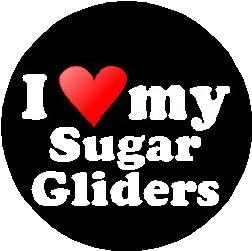 I Love My Sugar Gliders 1.25" Pinback Button Badge / Pin (heart)