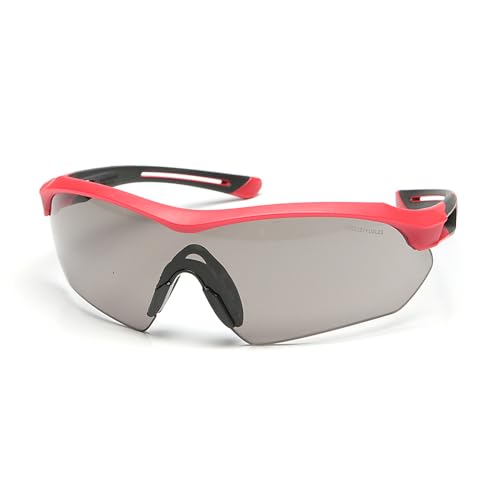 Óculos de Proteção Steelflex Florence Cinza CA40904