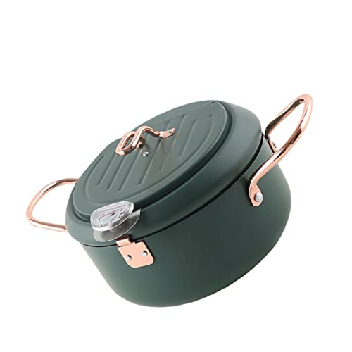 HEALLILY Mini Non-stick Fryer Pot for Home Japanese Style Tempura Frying Pot Lid Easy to Use Carry