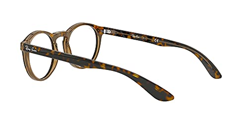 Óculos de Grau Ray-Ban RB5283 5989 51- Havana