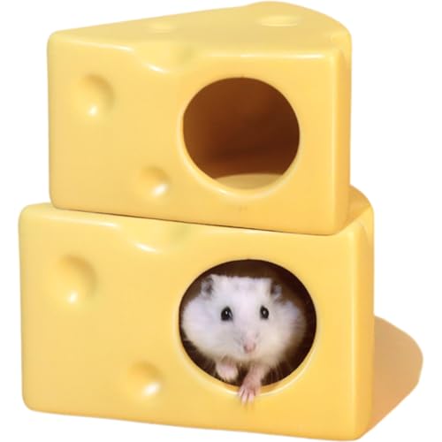 Avidora nX^[nEX  nEX B ЂnEX ΍ đ΍ `[Y^ {Zbg