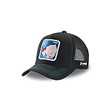 Capslab