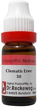 Reckewegs Clematis Erec 30 11 ml Dilution