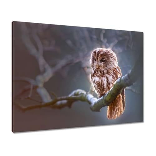 Toile chouette nature 80x60 cm créez un salon style cottage chaleureux