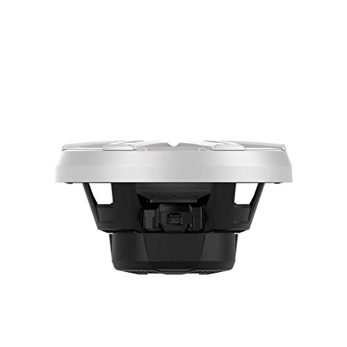 Image of Rockford Fosgate M2D4-10I Color Optix 10 inch DVC 4-Ohm Infinite Baffle Multicolor LED Lighted Marine Subwoofer - White /Stainless