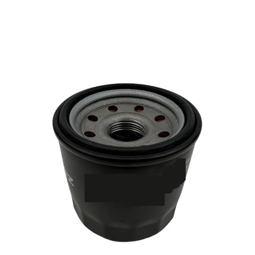 Filtre à huile 6P21A pour moto et machine 368G 350D - Remplacement 1050871-001000