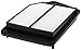 FRAM Extra Guard CA11476 Replacement Engine Air Filter for Select Honda Accord and Acura TLX (2.4L) Models, Provides Up to 12 Months or 12,000 Miles Filter Protection