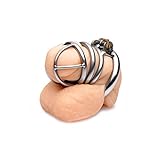 Master Series The Pen Deluxe Stainless Steel Locking Chastity Cage