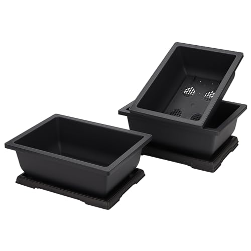 MANCHAP 3 Pack 11 Inch Large Plastic Bonsai Training Pots, Rectangular Bonsai Pot with Drainage...