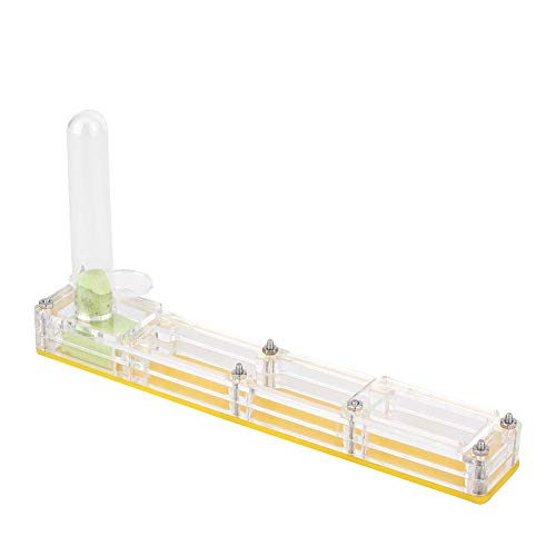 Acrylic Breeding House, transparente Insektenzuchtbox, Nest Formicarium Display Box, Ameisen-Lebendfutterbox mit Wasserturm-Feuchtigkeitsversorgung(Gelb)