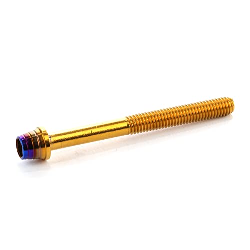 �L���b�v�{���g M6×60mm �e�[�p�[�V�F���w�b�h �J�X�^���{���g �f�U�C�� �w�b�h �X�e�����X�� �S�[���h&�`�^���J���[ 2�{�Z�b�g
