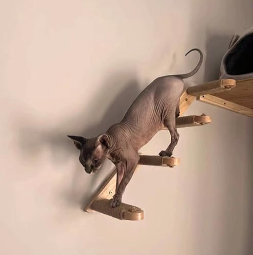 Image of Wall Mounted Cat Scratching Post for Indoor Cats | Kitten Wall Shelves Climbing Furniture| Sisal Rope Cat Claw Scratcher Tree (Full Set)
