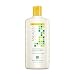 Andalou Naturals Sunflower & Citrus Brilliant Shine Conditioner, 11.5 Ounce