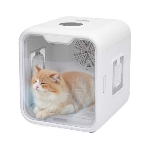 Shinyever ybghC[ ybghC[{bNX ^ Lp hC[ @ {bNX hC[nEX