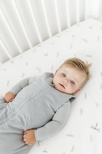 Image of Ely's & Co. Winter Sleep Sack, Wearable Blanket with Soft Quilting, Transitional Swaddle for Baby Boy /Girl, 1.0 TOG