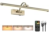 Tassuowell Antique Bronze Picture Light, 23.6 Inch Remote Control Painting Lights for Wall Cordless, 3CCT Dimmable Wall Lights for Pictures, Rechargeable Art Light for Pictures On Wall with Timer