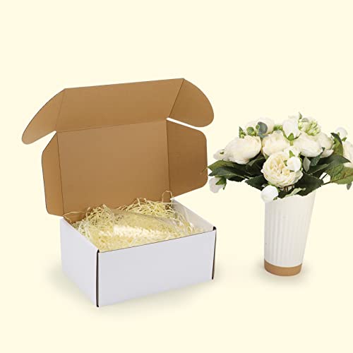 Image of HORLIMER 9x6x4 inches Shipping Boxes Set of 25, White Corrugated Cardboard Box Literature Mailer