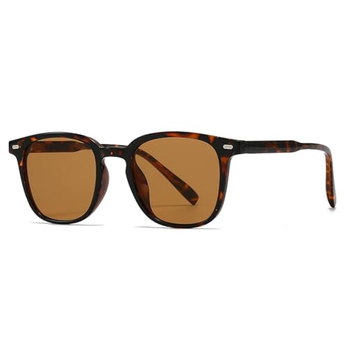 Lunettes de soleil rétro en acrylique transparent avec monture charme moderne et légère