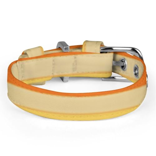 Collier réglable pour chien et chat à rayures multicolores