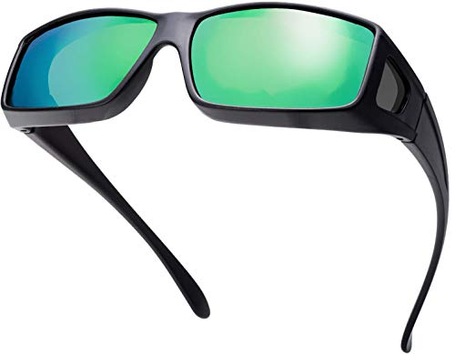 The Fresh High Definition Polarized Wrap Around Shield
