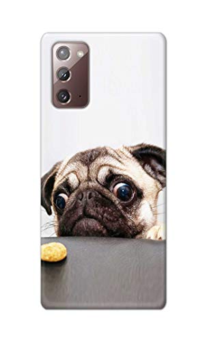 Image of PRINTFIDAA� Printed Hard Back Cover Case for Samsung Galaxy Note 20 4G | Note 20 5G Back Cover (Pug Dog) -2808