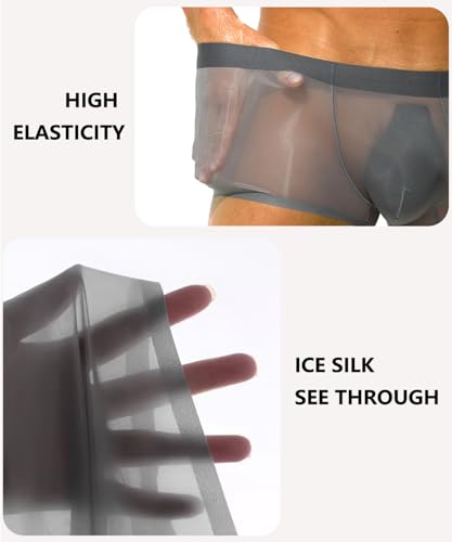 Mens Sexy See Through Boxers Ice Silk Sheer Underwear Trunks Stretch Ultra Thin Bulge Pouch Boxer Briefs4