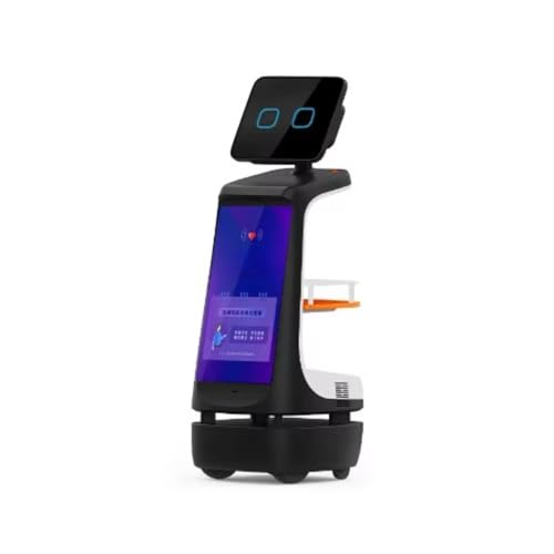 Intelligent Guidance Robots, Mobile Welcoming Service Robots with Voice Broadcasting and Route Navigation Functions, are Suitable for Exhibition Halls, Shopping malls, and airports.
