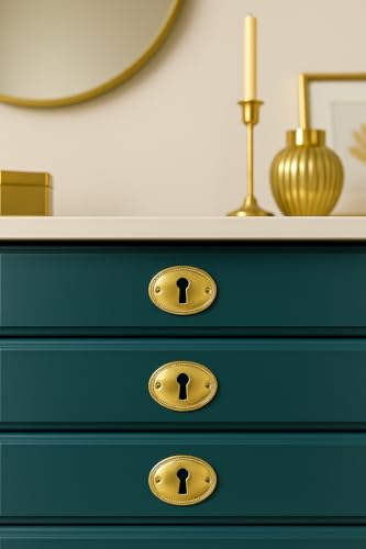 FUXXER 6x Antike Schlüssel-Schilder Schloss-Rosetten oval Vintage Messing 37x29mm gold