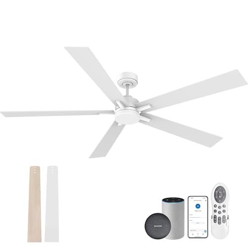 72" Large Smart Ceiling Fan with Lights Remote,Silent DC Motor,Control