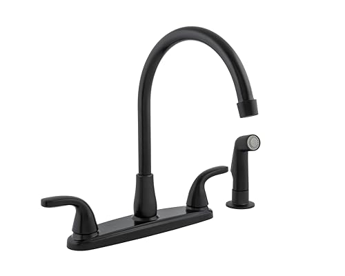 Niagara Earth Luxe 2-Handle High Arc Kitchen Faucet with Spray, Matte Black