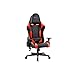 Newskill Kitsune - Silla gaming profesional (Inclinación y altura regulable, reposabrazos 2D...