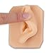 Ultrassist Soft Silicone Left Ear for Practicing Suture, Silicone Flexible Model for Education Display, Rubber Ear for Teaching Instructions