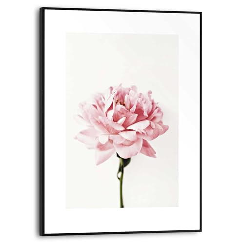 REINDERS Gerahmtes Bild, Pfingstrose, Wohnzimmer, Bilder, Wanddeko, Room Decor, MDF, Rosa, 40 x 30