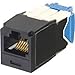 Panduit Keyed UTP Jack Module - 1 Pack - 1 x RJ-45 Female - Black - TAA Compliance