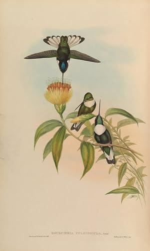 Tableaux animal oiseau imprimé pour sublimer la décoration murale de votre chambre