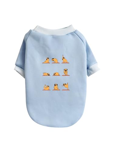   pO K  ybg hbOEFA ̕ L ybgEFA h _炩 іh~   t@bV U ybgpi