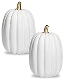 vensovo 8.5 Inch Large White Pumpkins for Decorating - 2PCS Big Foam Decorative Pumpkin for Fall Decoration, Paintable Artificial Pumpkins Perfect for Halloween Thanksgiving Decor (Gold Handle)