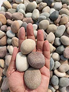 SR Traders Pebbles Rocks for Garden, Landscaping, Aquarium and Home Decor (3 kgs, Mixed Sizes Including Small, Medium and Large Size Pebbles) (B0C2VT767Q) Amazon Price History, Amazon Price Tracker