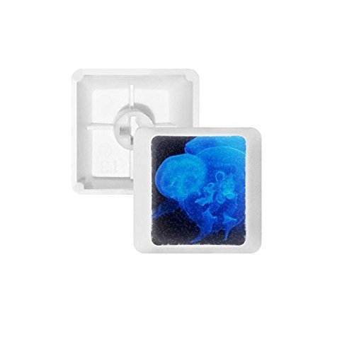Keycaps PBT Ocean Jellyfish de Profil OEM pour Clavier Mécanique Haut de Gamme