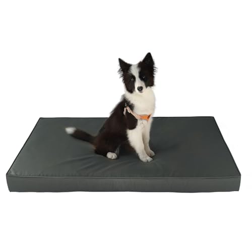 Rucener Cama ortopédica para perros de espuma viscoelástica, para perros pequeños, medianos y grandes, cama para perros de 2 capas con funda extraíble lavable (gris, L)