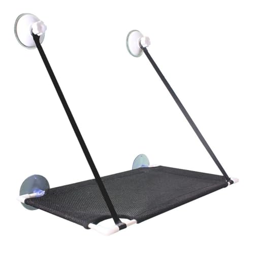 L pnbN  Lpxbh z 1i/2i ω׏d10kg ȃXy[X tȒP ݂Lxbh ʋCbV  lW^ \ XgX O[ (ubN,Pw)