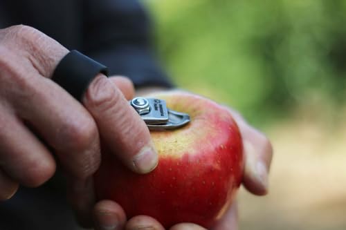 M14L-AM Fruit Clipper Mango Largo Manzana Nules miniatura 5