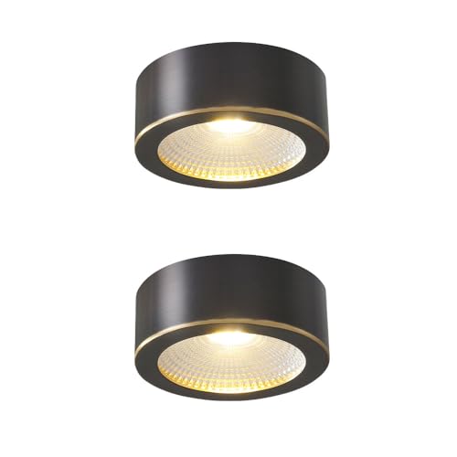 Plafonnier monté en surface coque noire au design minimaliste chic - 2