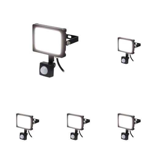 V(Takagi) EARTH MAN ^LEDZT[Cg5W SLT-5LA (× 5)