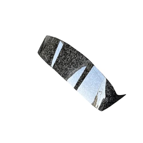 MsyX^C ubN bJ[{t@Co[ J[AEBhE [t gN X|C[EBO [XCX JiΉ