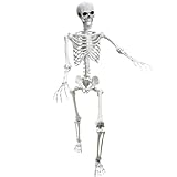Lodou 5.4Ft Posable Life Size Human Adult Skeletons Plastic Human Bones with Movable Joints for Halloween Decoration